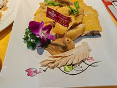 -新高记·粤菜·湛江鸡(南头古城店)