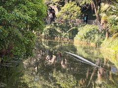 -水绘园