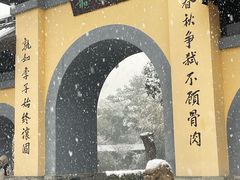 -红梅公园