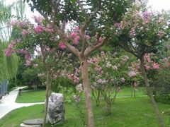 -镇江市南山风景名胜区竹林景区