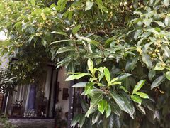 -孟礼旗袍西装礼服定制