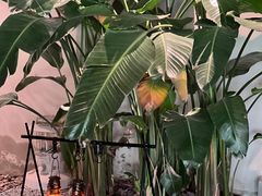 -J Create城市露营咖啡·简餐·宠物(上海动物园店)