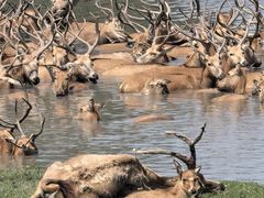 -溱湖国家湿地公园