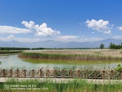 -野鸭湖国家湿地公园