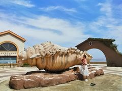 -南长涂沙滩