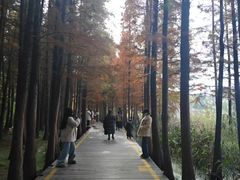 -云龙湖旅游景区