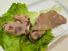 -丁老爷子苏香圆