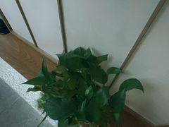 -宫七SPA·高端Massage(浦东大道店)