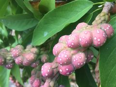 -太湖湾开元名庭大酒店