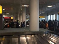 -纽瓦克自由国际机场