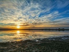 -比亚森自助烤肉料理(裕华店)