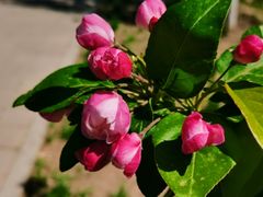 -元大都城垣遗址公园