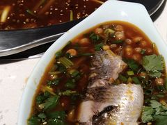 土鲫鱼-满诗爷黄辣丁(金岛花园店)
