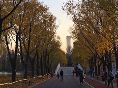 景点-朝阳公园