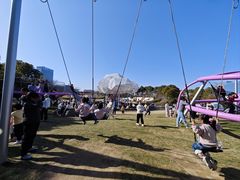 -春花秋色城市公园