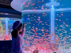 -海合安成都极地海洋公园