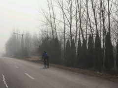 乡道-崔岗艺术村