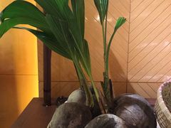 -蜈支洲岛珊瑚酒店临海阁中餐厅