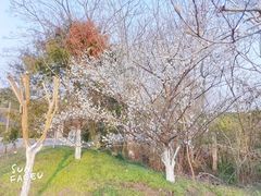 -凤凰沟景区