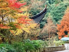 -雁荡山三折瀑景区