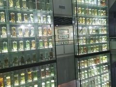 -广东中医药博物馆