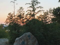 -鼎湖山风景区
