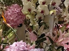 -浅深Cheersum(曹杨店)
