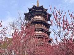 -洋湖国家湿地公园