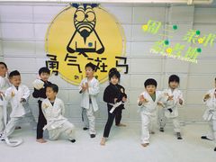 -勇气斑马·巴西柔术&跆拳道(浦东三林店)
