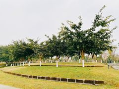 -眉山湿地公园(东坡区)