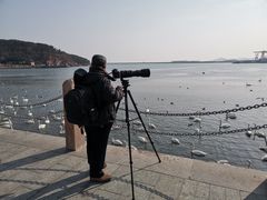 -烟墩角天鹅湖