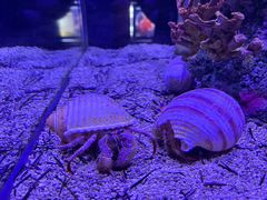 -太平洋海底世界