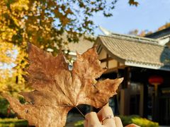-绍兴饭店知遇楼(环山路店)