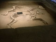 -洛阳周王城天子驾六博物馆