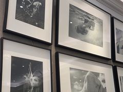 -PAUL LAFAYET 法式甜品(港汇广场店)