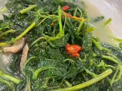 -绿雅居原生态农庄(小涌店)