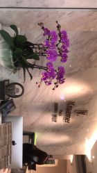 -Kraemer Paris  苏豪路易士·嘉玛发廊