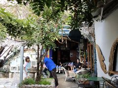 -喵屿·大理花园猫咖