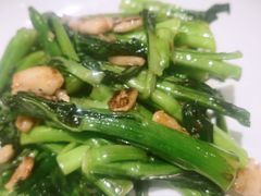 清炒菜心-紫光园·烤鸭·北京菜(团结湖店)