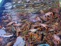 -聚盛源蒸汽海鲜火锅烤肉自助(巨川金海岸购物广场店)