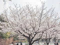 -万鱼亭 日本料理(无锡香山名园店)