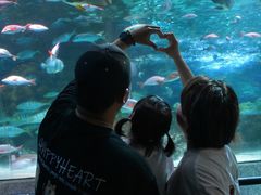 -大连圣亚海洋世界