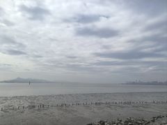 -宝安西湾红树林湿地公园