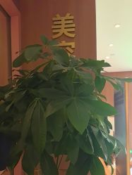 -深圳艺星医疗美容医院