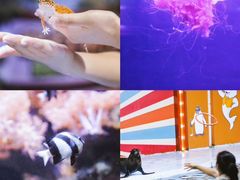 -南昌海洋公园