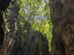 -牛背梁国家森林公园