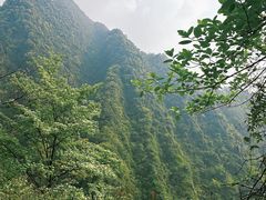 -龙窝子