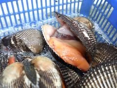 -海味当家·蒸锅海鲜(星海公园店)