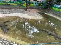 -昆明动物园