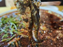 -胖大姐黄辣丁鱼庄(新津店)